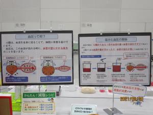 「血圧って何？」「塩分と血圧の関係」のパネル