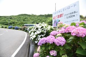 看板