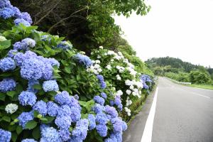 自治会