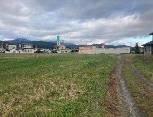 現地写真